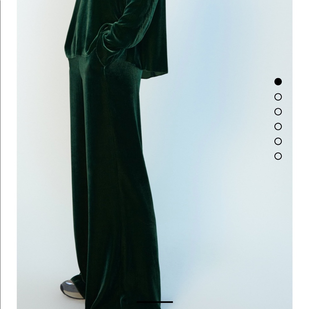 Zara Wide-Leg Velvet Pants XS w/ Tags